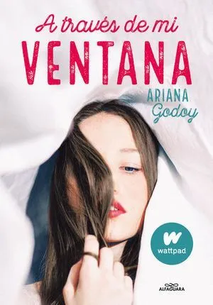 Portada de A traves de mi ventana
