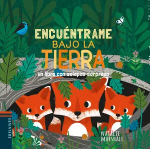 Portada de Encuentrame bajo la tierra