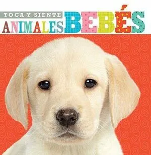 Portada de Toca y siente animales bebes