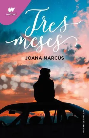 Portada de Meses a tu lado 3: Tres meses