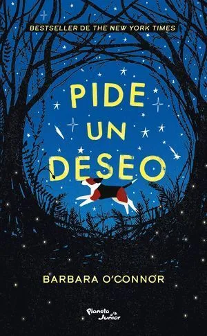 Portada de Pide un deseo