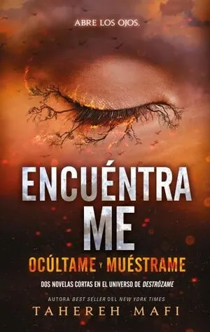 Portada de Destrozame 4.5: Encuéntrame