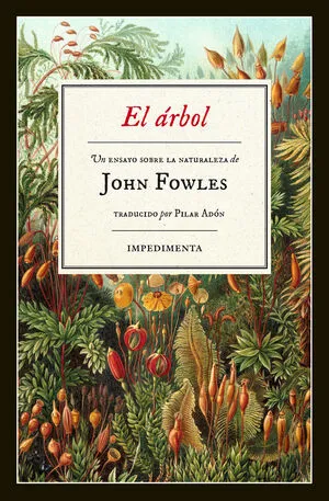 Portada de El arbol