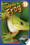 Portada de From tadpole to frog